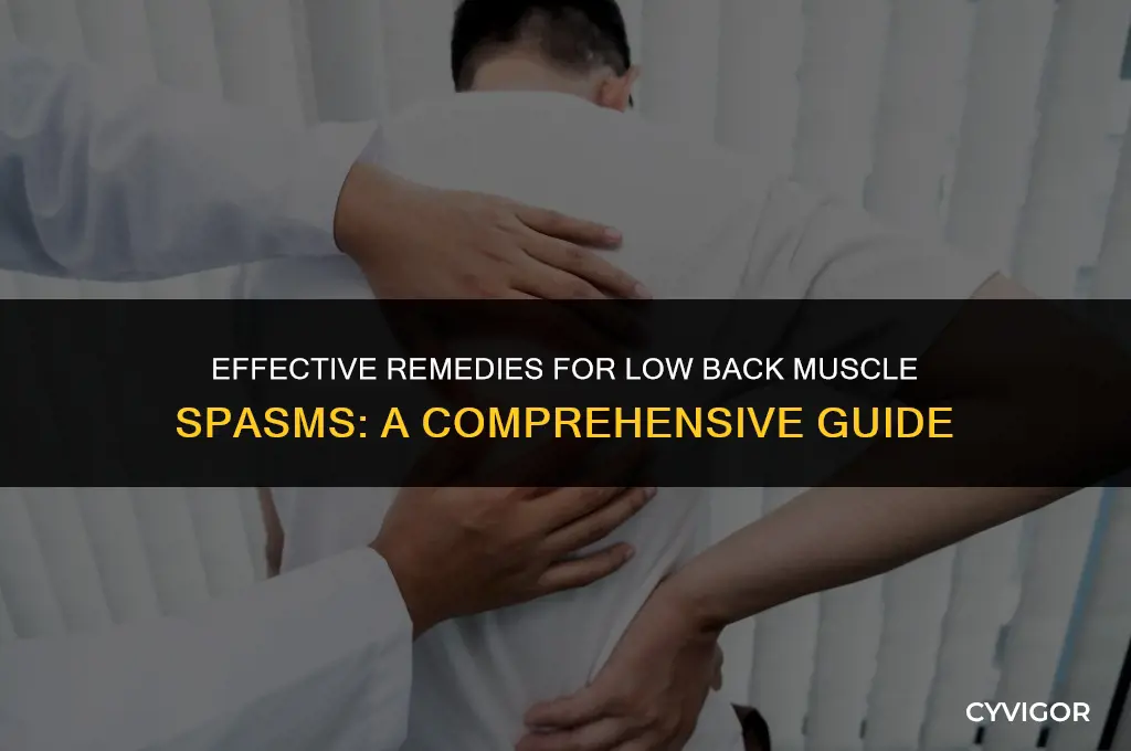 what to do for low back muscle spasms