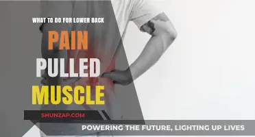 Effective Remedies for Pulled Muscle Lower Back Pain Relief