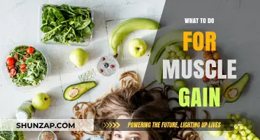 Effective Strategies for Muscle Gain: Nutrition, Training, and Recovery Tips