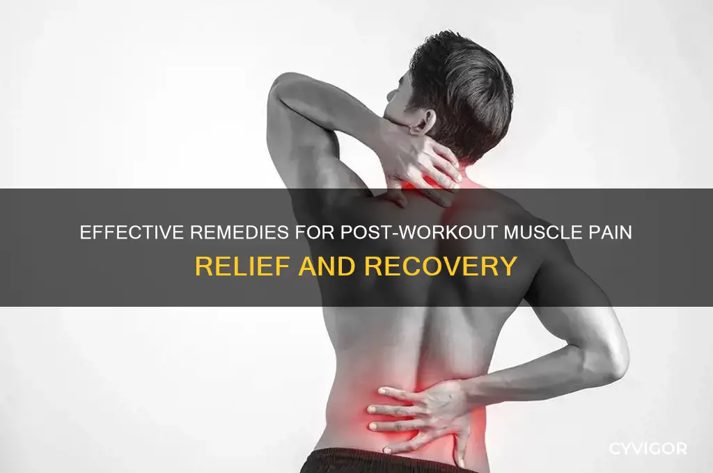 what to do for muscle pain from working out