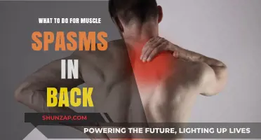 Relieving Back Muscle Spasms: Effective Remedies and Prevention Tips