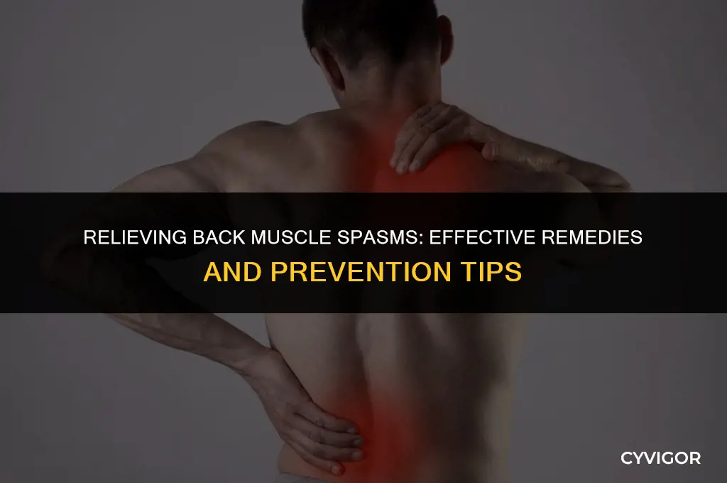 what to do for muscle spasms in back