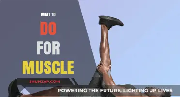 Building Muscle: Strategies for Strength and Size