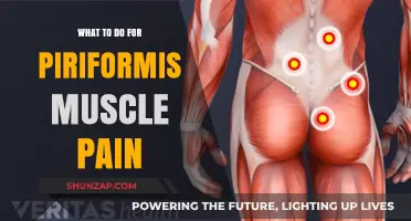 Effective Relief Strategies for Piriformis Muscle Pain: A Comprehensive Guide