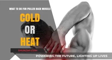 Pulled Back Muscle Relief: Cold or Heat Therapy – Which Works Best?