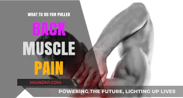 Effective Remedies for Pulled Back Muscle Pain Relief and Recovery