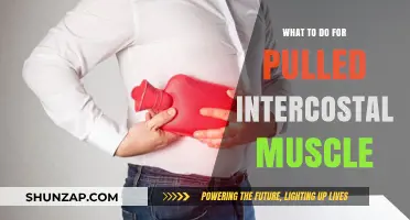 Pulled Intercostal Muscle: Effective Relief and Recovery Strategies