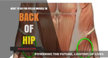 Effective Remedies for Pulled Muscle in Back of Hip: Relief Guide