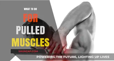 Effective Remedies and Recovery Tips for Pulled Muscles: A Guide