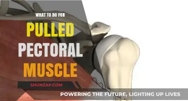 Pulled Pectoral Muscle: Effective Recovery Tips and Treatment Strategies