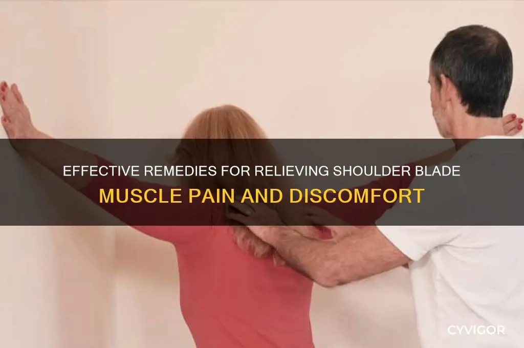 what to do for shoulder blade muscle pain