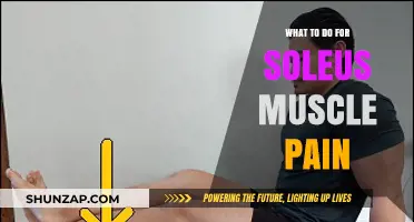 Effective Remedies for Relieving Soleus Muscle Pain and Recovery Tips