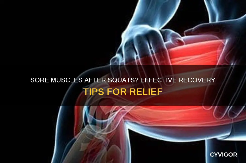 what to do for sore muscles after squats