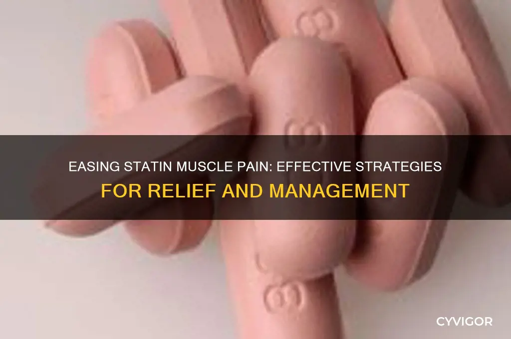 what to do for statin muscle pain