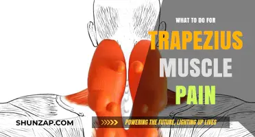 Effective Remedies for Relieving Trapezius Muscle Pain and Tension