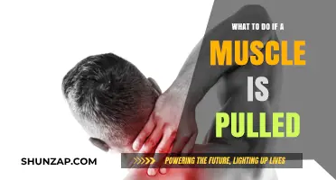 Pulled Muscle? Quick Recovery Tips and Effective Remedies to Try