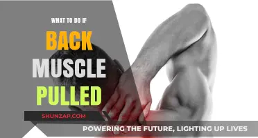 Pulled Back Muscle Relief: Effective Steps for Quick Recovery and Pain Management
