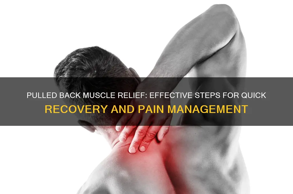 what to do if back muscle pulled