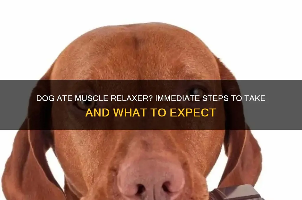what to do if dog eats muscle relaxer