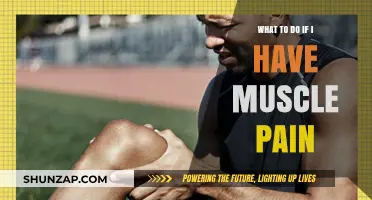 Effective Remedies for Muscle Pain: Relief and Recovery Tips