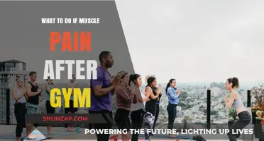 Post-Workout Muscle Pain Relief: Effective Strategies for Gym Recovery