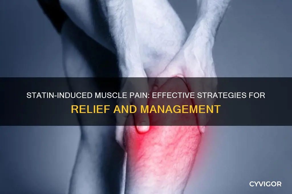 what to do if statins cause muscle pain