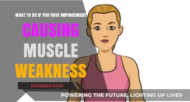Overcoming Impingement: Effective Strategies to Restore Muscle Strength and Mobility