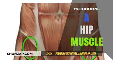 Pulled Hip Muscle? Effective Recovery Tips and Remedies to Heal Fast