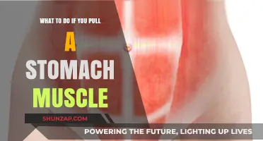 Pulled Stomach Muscle? Effective Remedies and Recovery Tips to Heal Fast