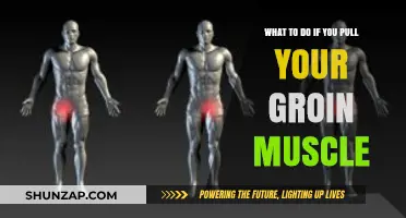 Pulled Groin Muscle? Effective Recovery Tips and Treatment Strategies