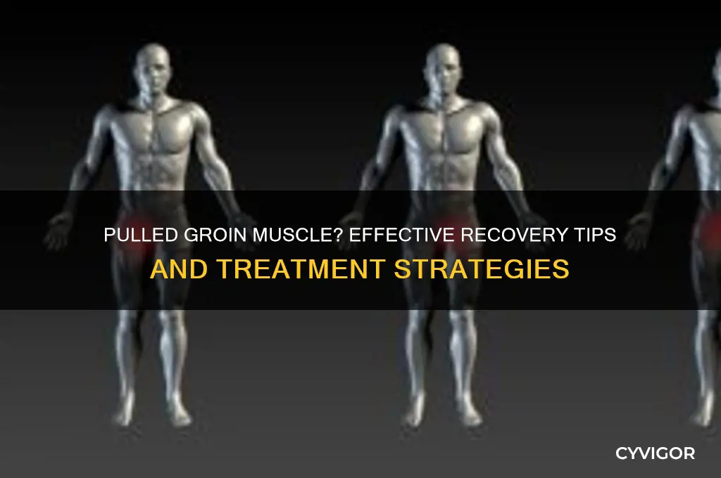 what to do if you pull your groin muscle