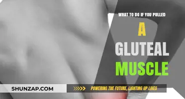 Pulled Gluteal Muscle? Effective Recovery Tips and Remedies