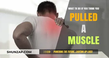 Pulled Muscle? Immediate Steps for Relief and Recovery Guide