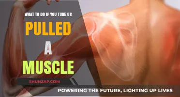 Pulled or Torn Muscle? Effective Recovery Tips and Remedies