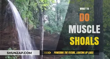 Exploring Muscle Shoals: Music, History, and Adventure