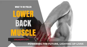 Effective Remedies for Pulled Lower Back Muscle Relief and Recovery