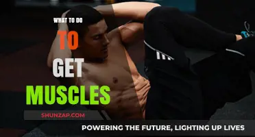 Building Strength: A Guide to Gaining Muscle Mass Effectively