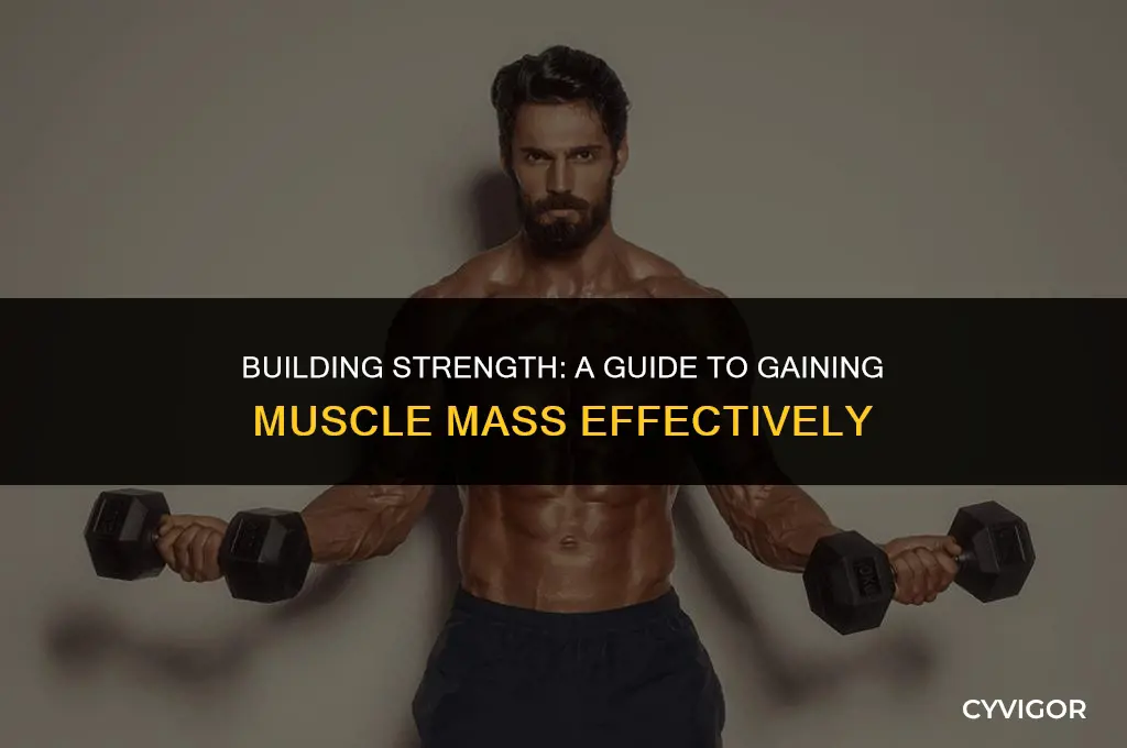 what to do to get muscles