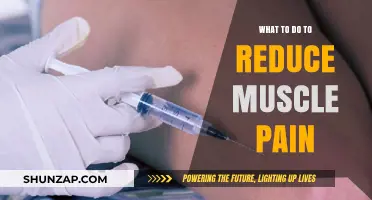 Effective Strategies to Relieve and Prevent Muscle Pain Naturally