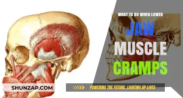 Relieving Lower Jaw Muscle Cramps: Effective Remedies and Prevention Tips
