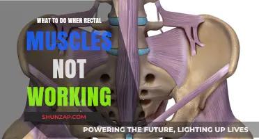 Rectal Muscle Dysfunction: Effective Strategies for Relief and Recovery