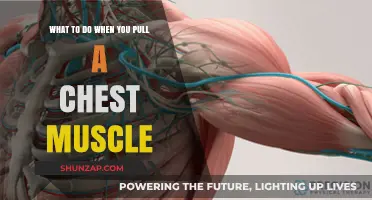 Pulled Chest Muscle? Effective Recovery Tips and Remedies to Heal Fast