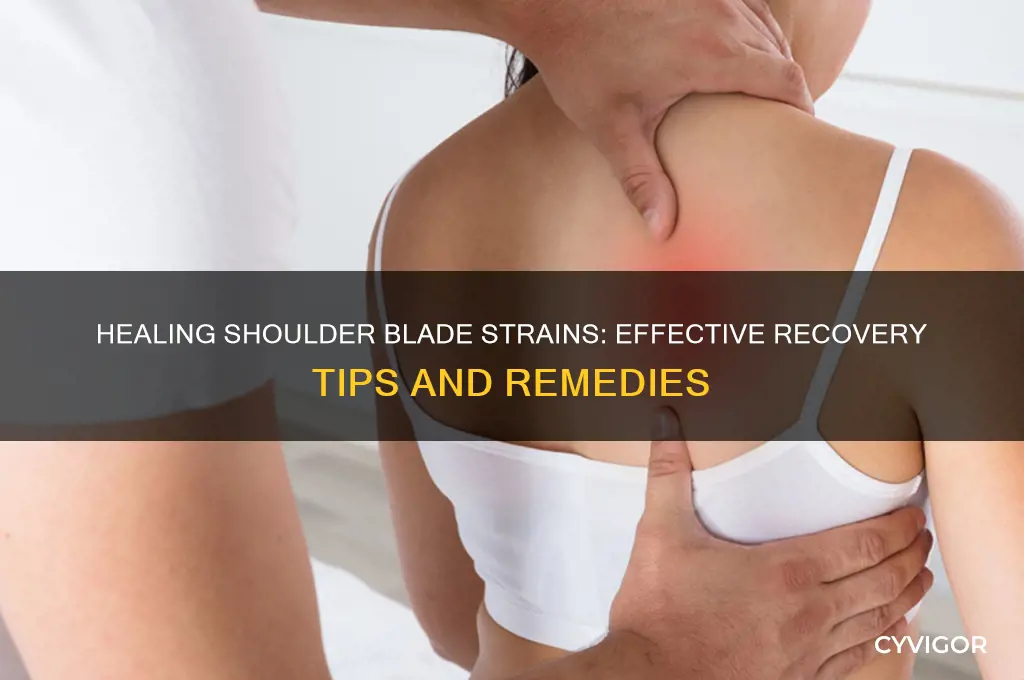 what to do when you pull a shoulder blade muscle
