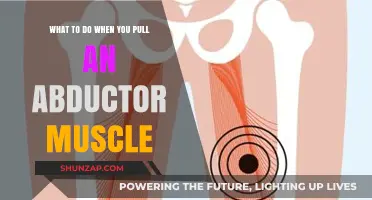 Pulled Abductor Muscle? Effective Recovery Tips and Remedies