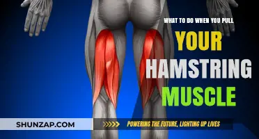 Effective Recovery Tips for Pulled Hamstring Muscle Relief and Healing
