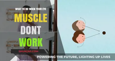 Eye Muscle Weakness: Effective Strategies for Managing and Improving Vision