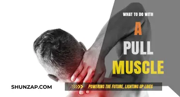 Effective Remedies and Recovery Tips for Pulled Muscles: A Guide