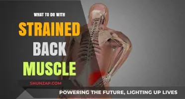 Relieving Strain: Effective Remedies for Back Muscle Discomfort