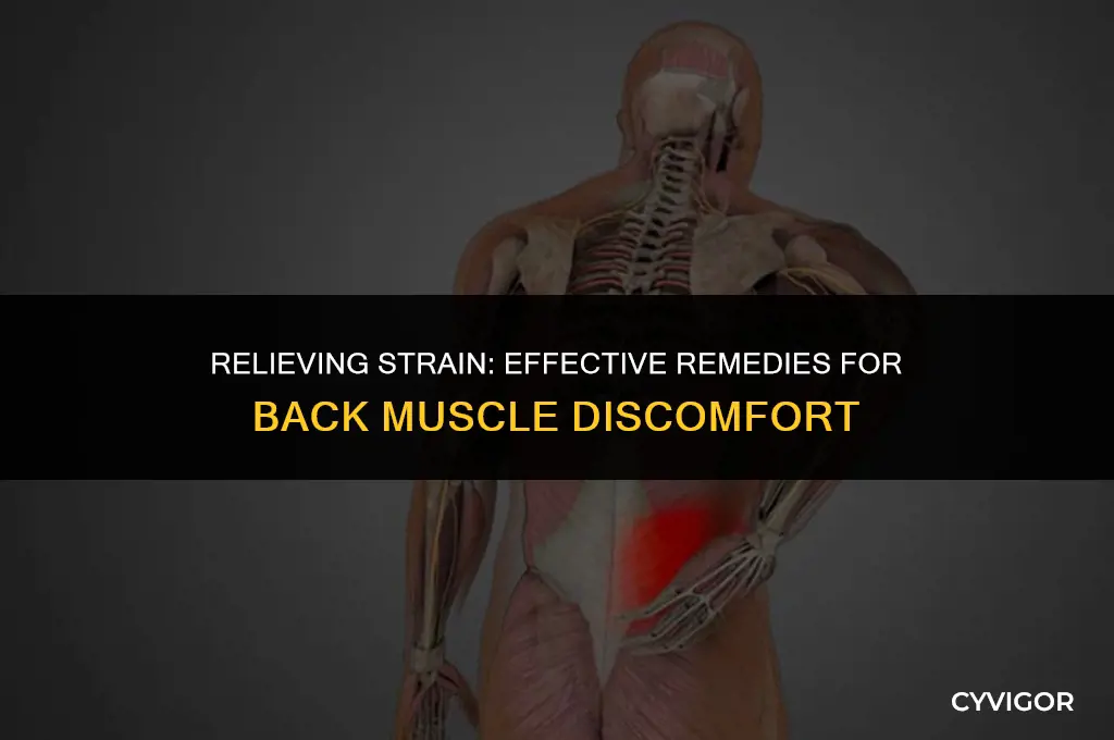 what to do with strained back muscle