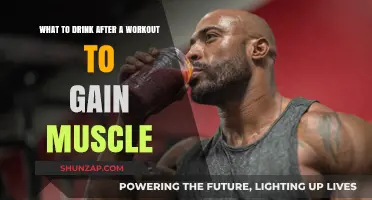 Post-Workout Drinks to Fuel Muscle Growth and Recovery